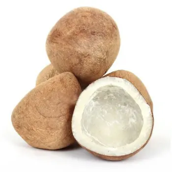 Organic Dried Coconut Exporters